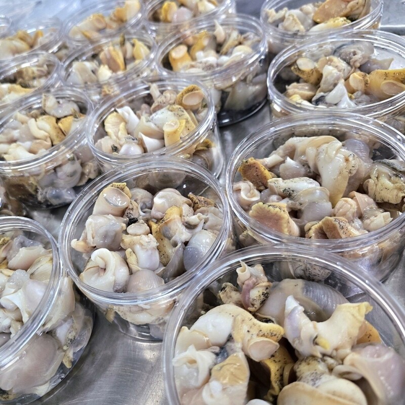 강원더몰,동해안 자연산 깐 자숙 백골뱅이 1통(250g)