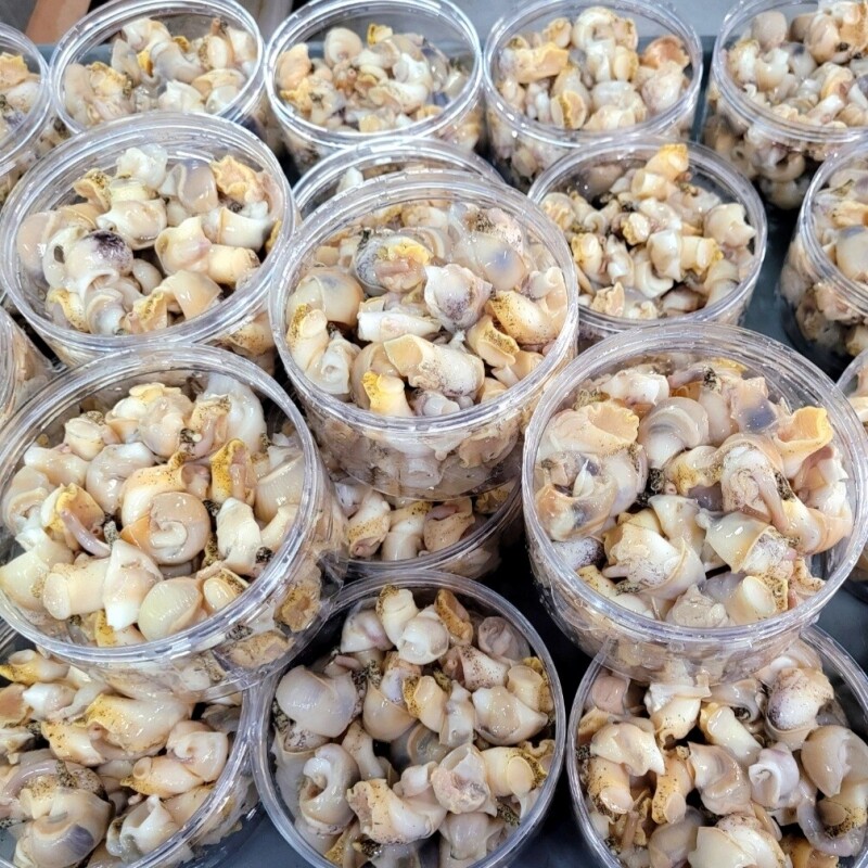강원더몰,동해안 자연산 깐 자숙 백골뱅이 1통(250g)