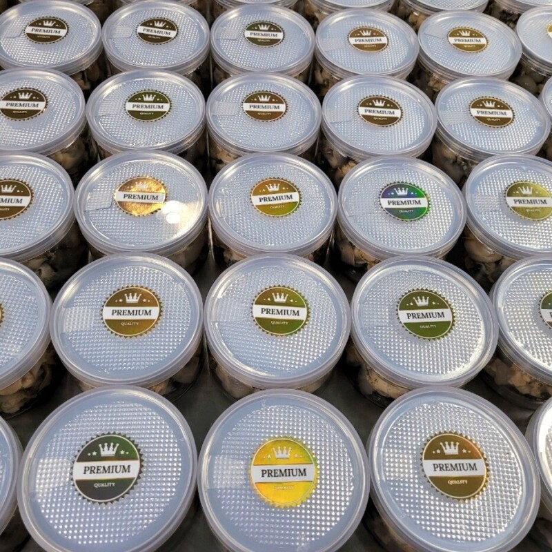 강원더몰,동해안 자연산 깐 자숙 백골뱅이 1통(250g)