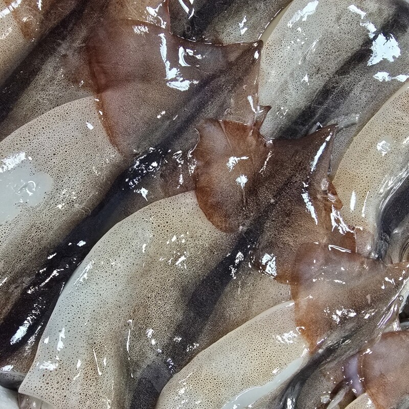 동해몰,동해안 자연산 (진공) 오징어 5마리/팩 ★손질★