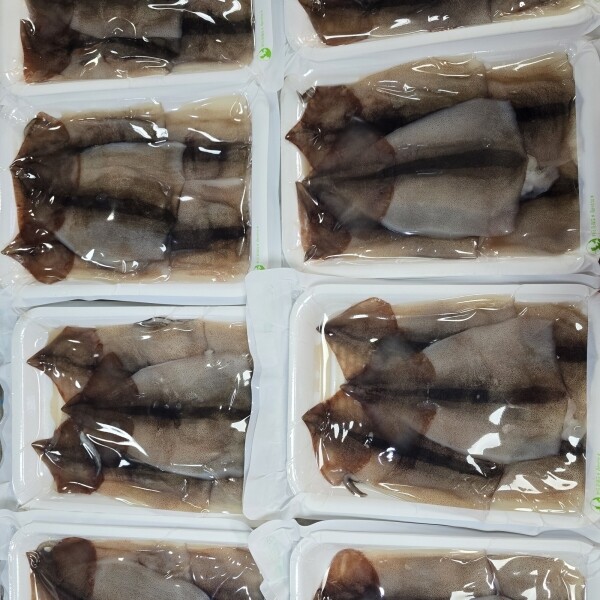 동해안 자연산 (진공) 오징어 5마리/팩 ★손질★