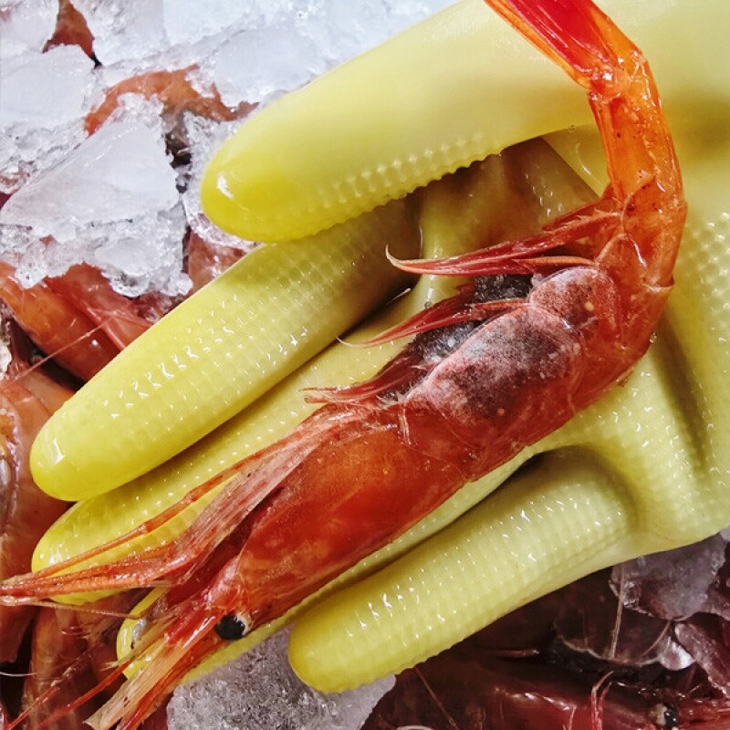 동해몰,★생물★ 동해안 자연산 홍새우 500g/팩 단새우 꽃새우 동해직송