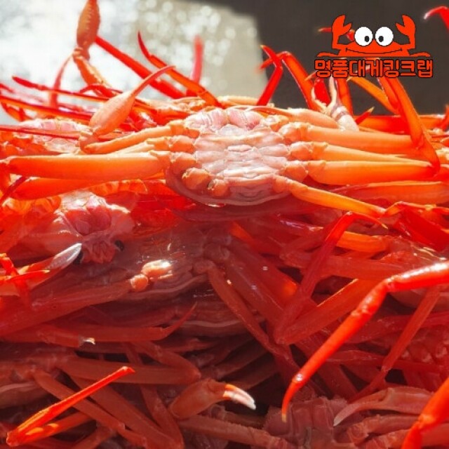 명품대게킹크랩, 대게, 킹크랩, 러시아대게, 백골뱅이, 흑골뱅이, 선어대게, 가리비, 선물세트,